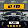 A21EES - Image 5