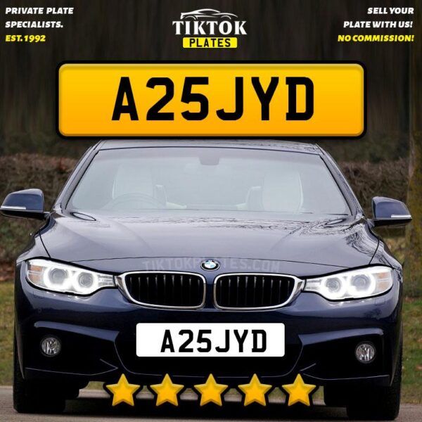 A25JYD - Image 4