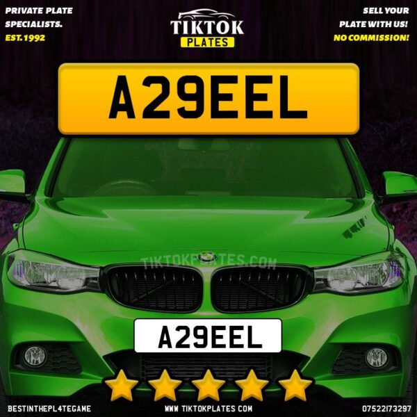 A29EEL - Image 3
