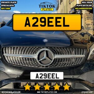 A29EEL