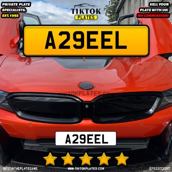 A29EEL - Image 4