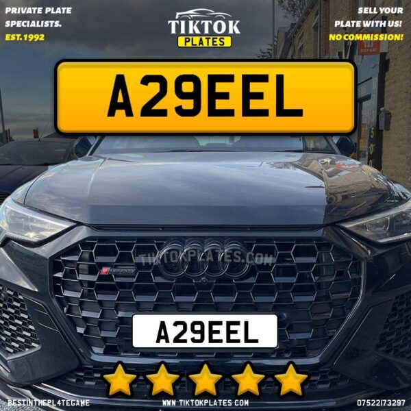 A29EEL - Image 2
