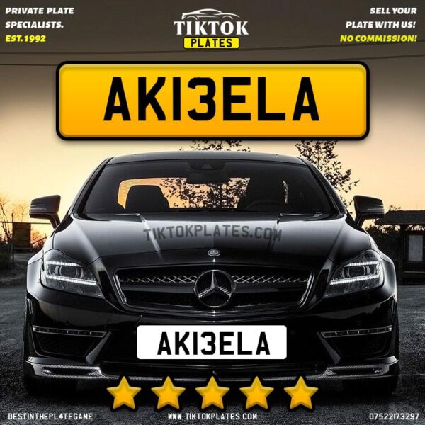 AK13ELA - Image 2