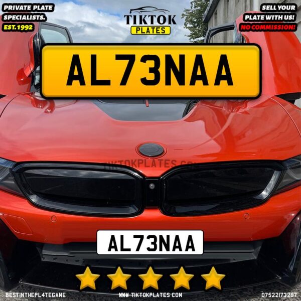 AL73NAA - Image 4
