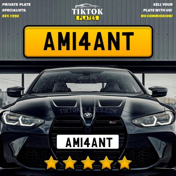 AM14ANT - Image 4