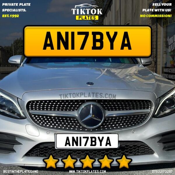 AN17BYA - Image 2