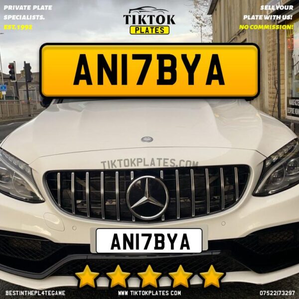 AN17BYA - Image 3
