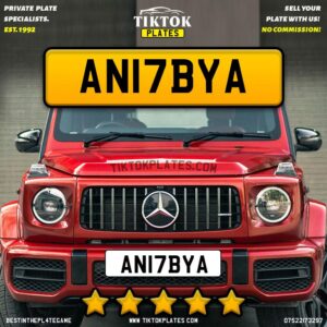 AN17BYA