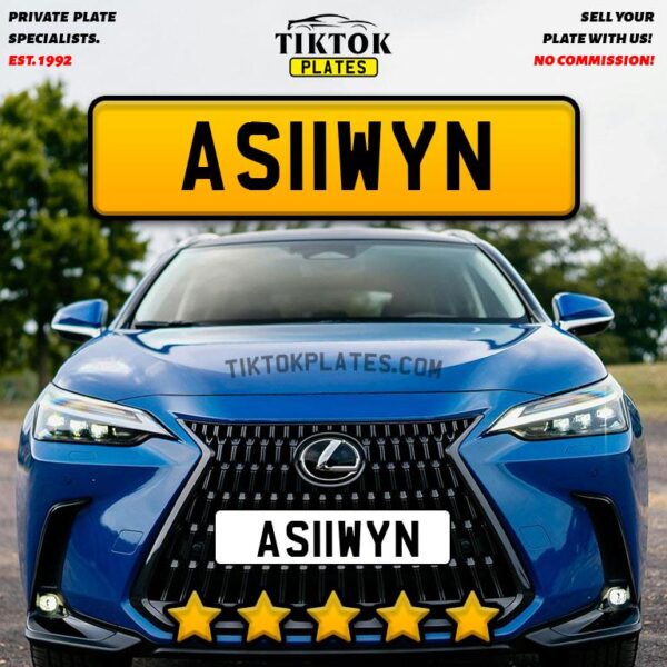 AS11WYN - Image 2