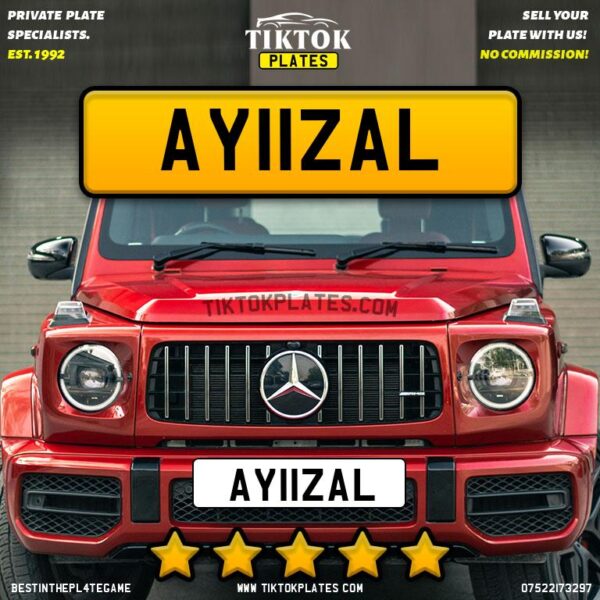 AY11ZAL - Image 2