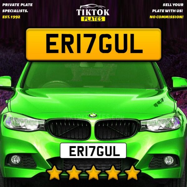 ER17GUL - Image 6