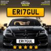 ER17GUL - Image 3