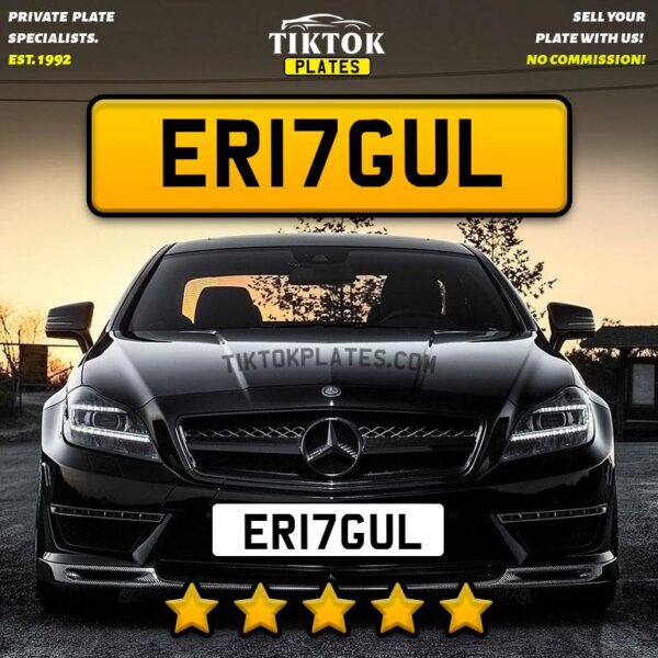ER17GUL - Image 3