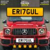 ER17GUL - Image 4