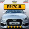 ER17GUL