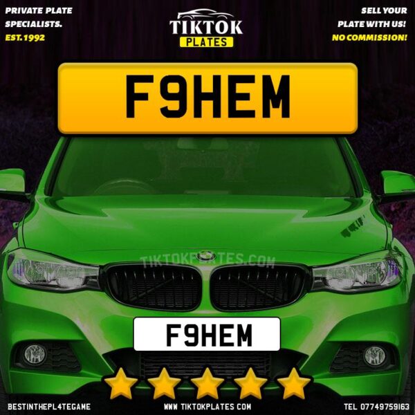 F9HEM