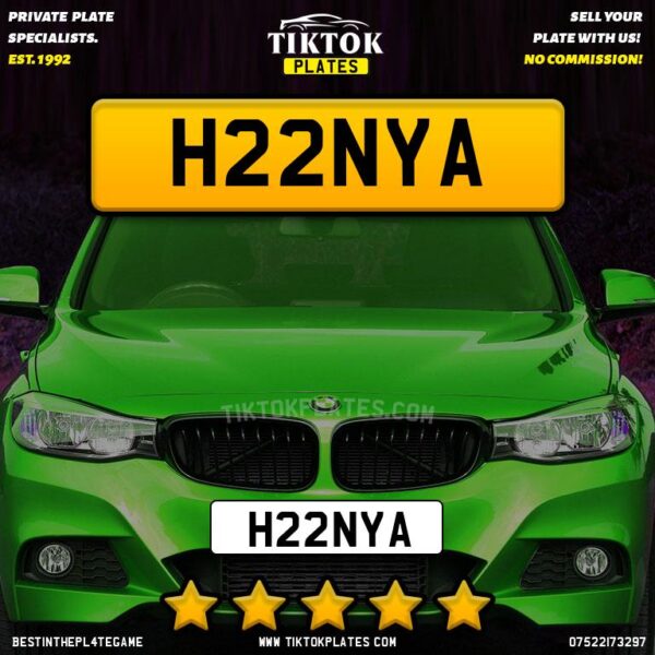 H22NYA - Image 3