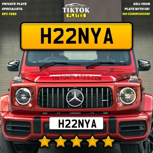 H22NYA - Image 3