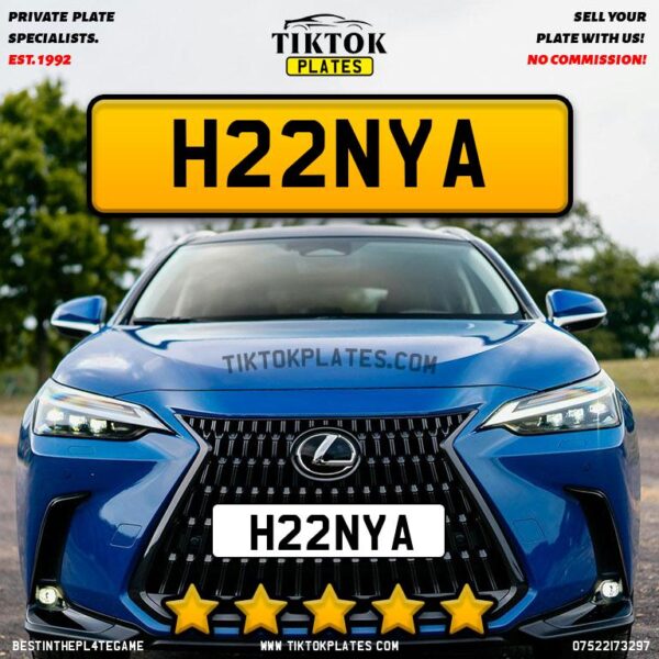 H22NYA - Image 2