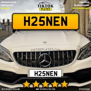 H25NEN