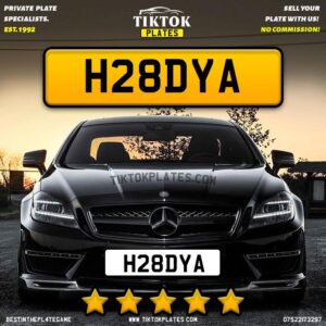 H28DYA