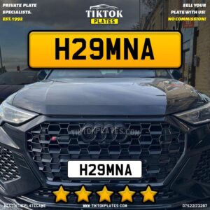 H29MNA
