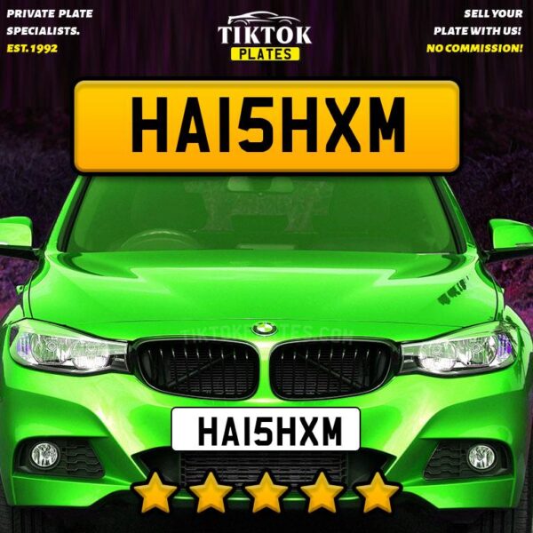 HA15HXM - Image 6