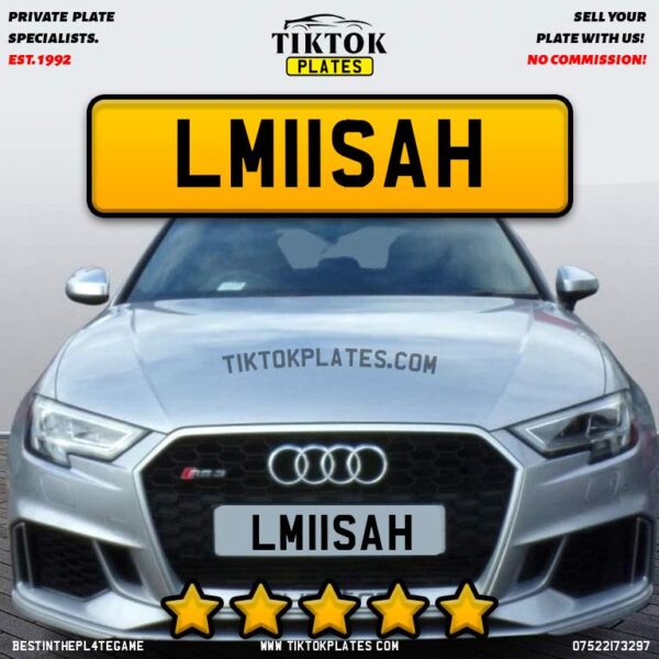 LM11SAH - Image 2
