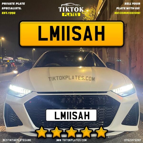 LM11SAH - Image 5